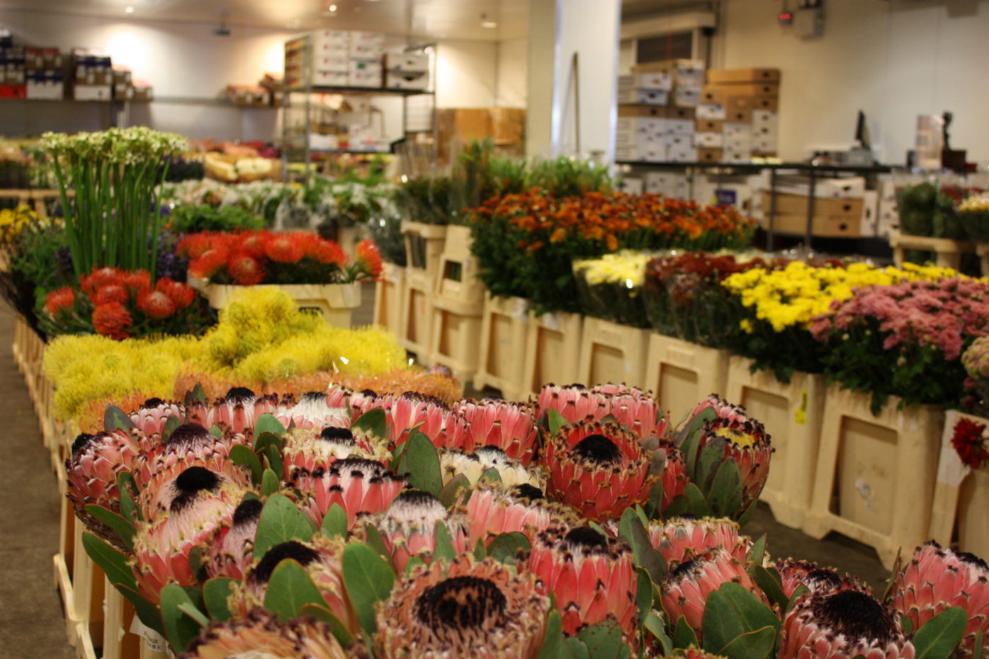 Products KFW Group Ltd