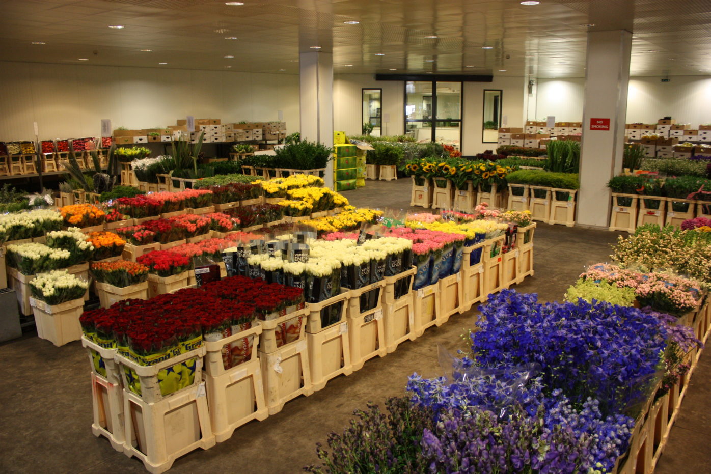 Products KFW Group Ltd